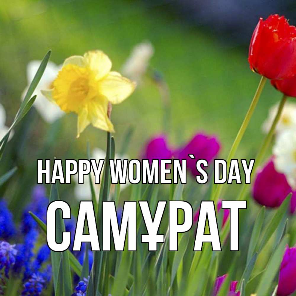 Greetings card с именем, САМҰРАТ happy women`s day международный женский день 3 Greetings with text for free download 